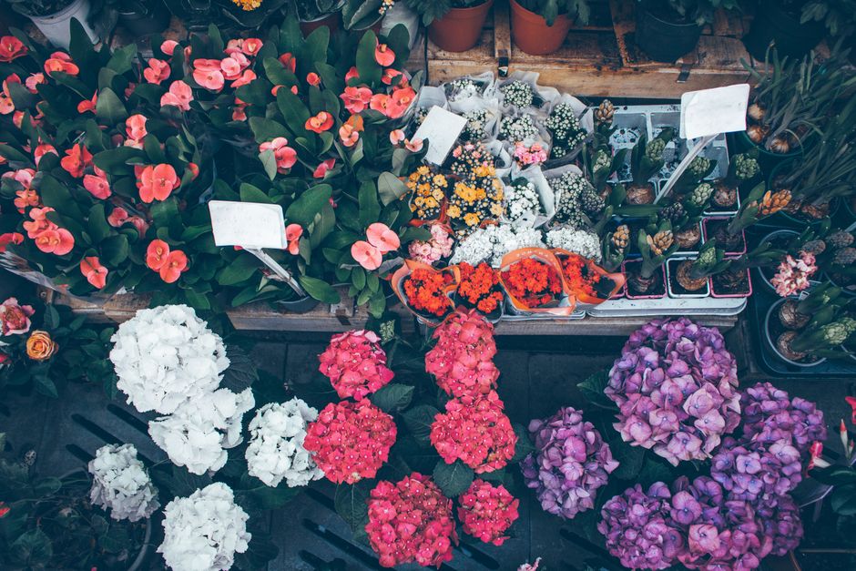 Heldere bloemen in potten op zonnig terras.