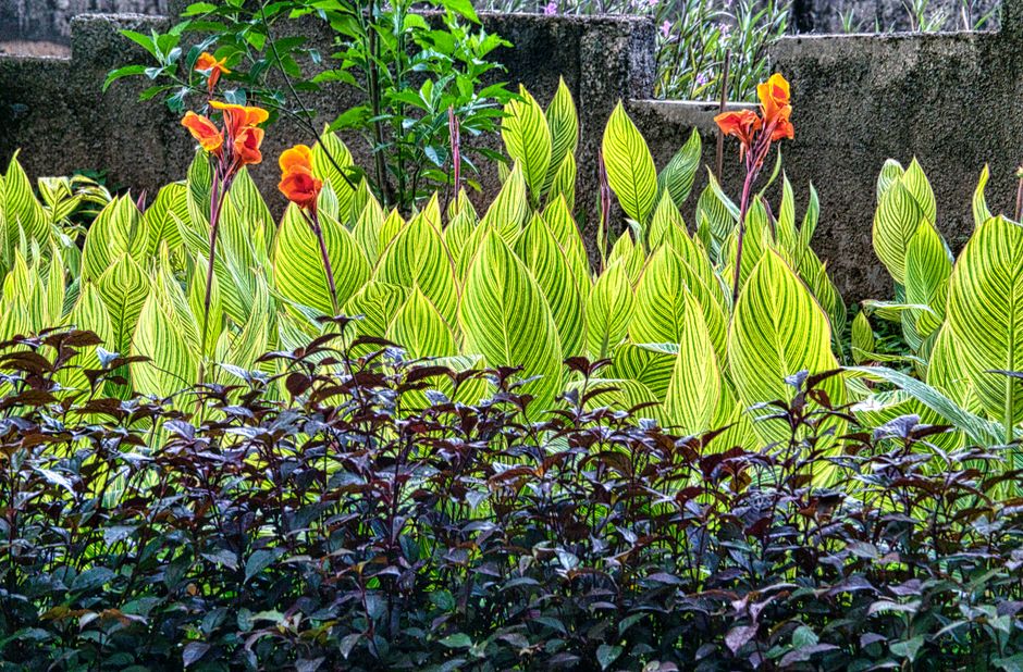 Herfsttuin pad met kopergroene accenten langs de rand. Herfsttuin pad met kopergroene accenten langs de rand.